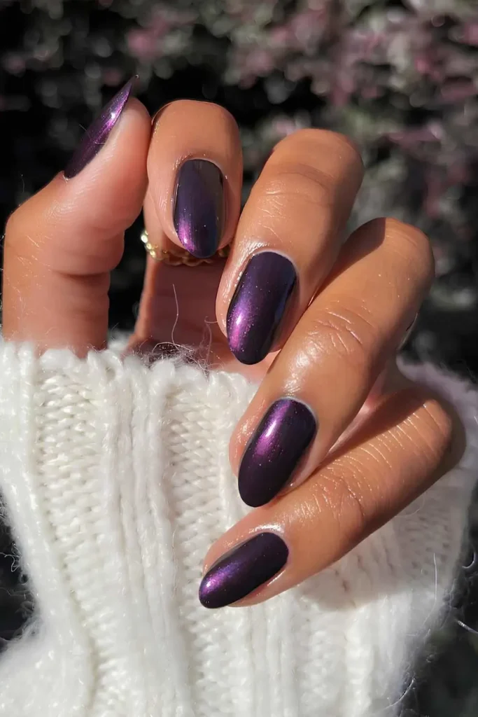 Purple Fall Nails With a Satin Finish That Shines Beautifully